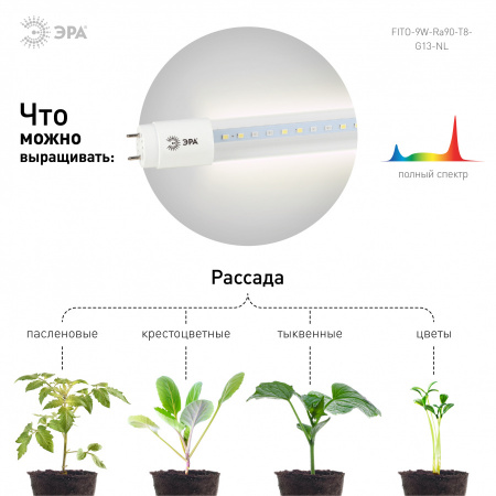 ЭРА Т8 FITO-9W-Ra90-Т8-G13-NL Лампа Т8 с полным спектром (ФИТО)