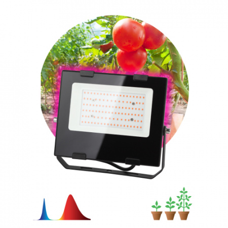 ЭРА FITO Прожектор красно-синего спектра FITO-50W-RB-LED
