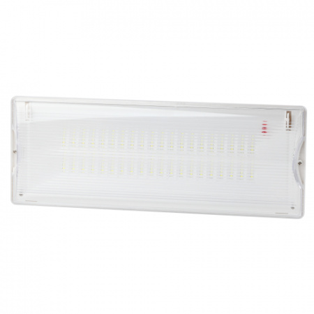 ЭРА Авар. светильник LED - DPA-301-0-65 непостоянный 40LED 3ч IP65