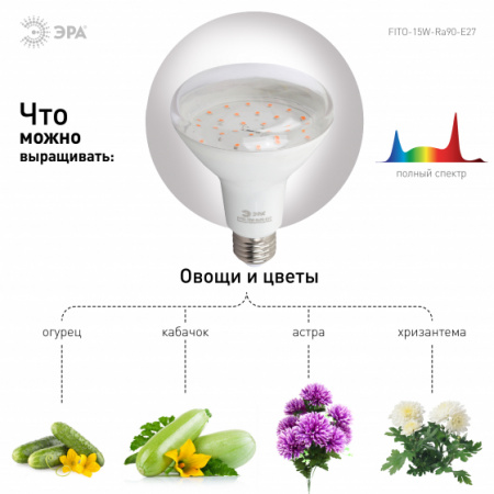 ЭРА FITO-15W-Ra90-E27 Лампа тип цоколя E27  Лампа полного спектра (ФИТО)