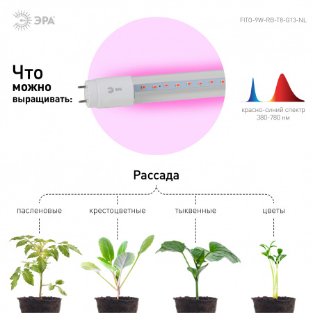 ЭРА Т8 FITO-9W-RB-Т8-G13-NL Лампа Т8 красно-синий спектр (ФИТО)